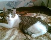 nagym�ret� �s sz�p