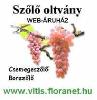 Csemegesz�l� �s borsz�l� oltv�ny web�ruh�z