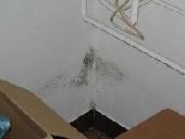 Nedvess�g elleni falszigetel�s